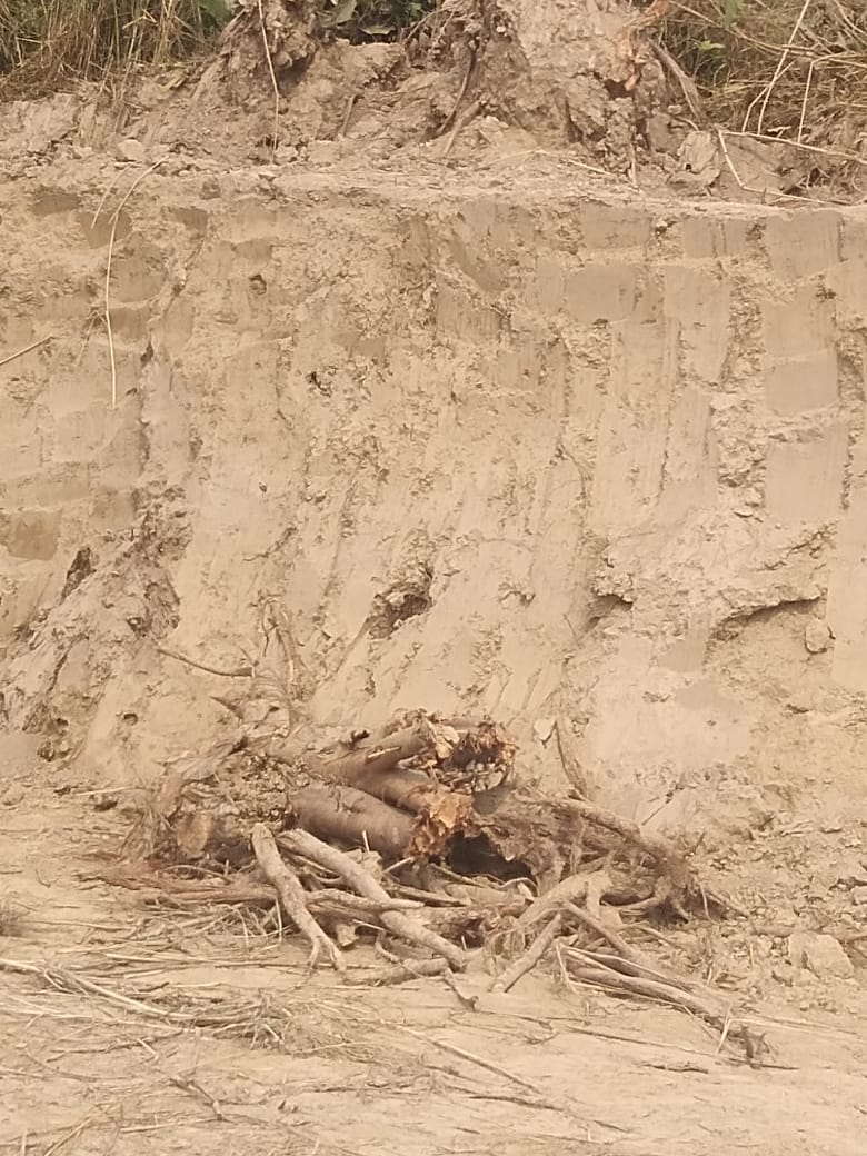 नहर की पटरी को काटकर मिलाया खेत में, सहखातेदार ने पुलिस को दी जानकारी