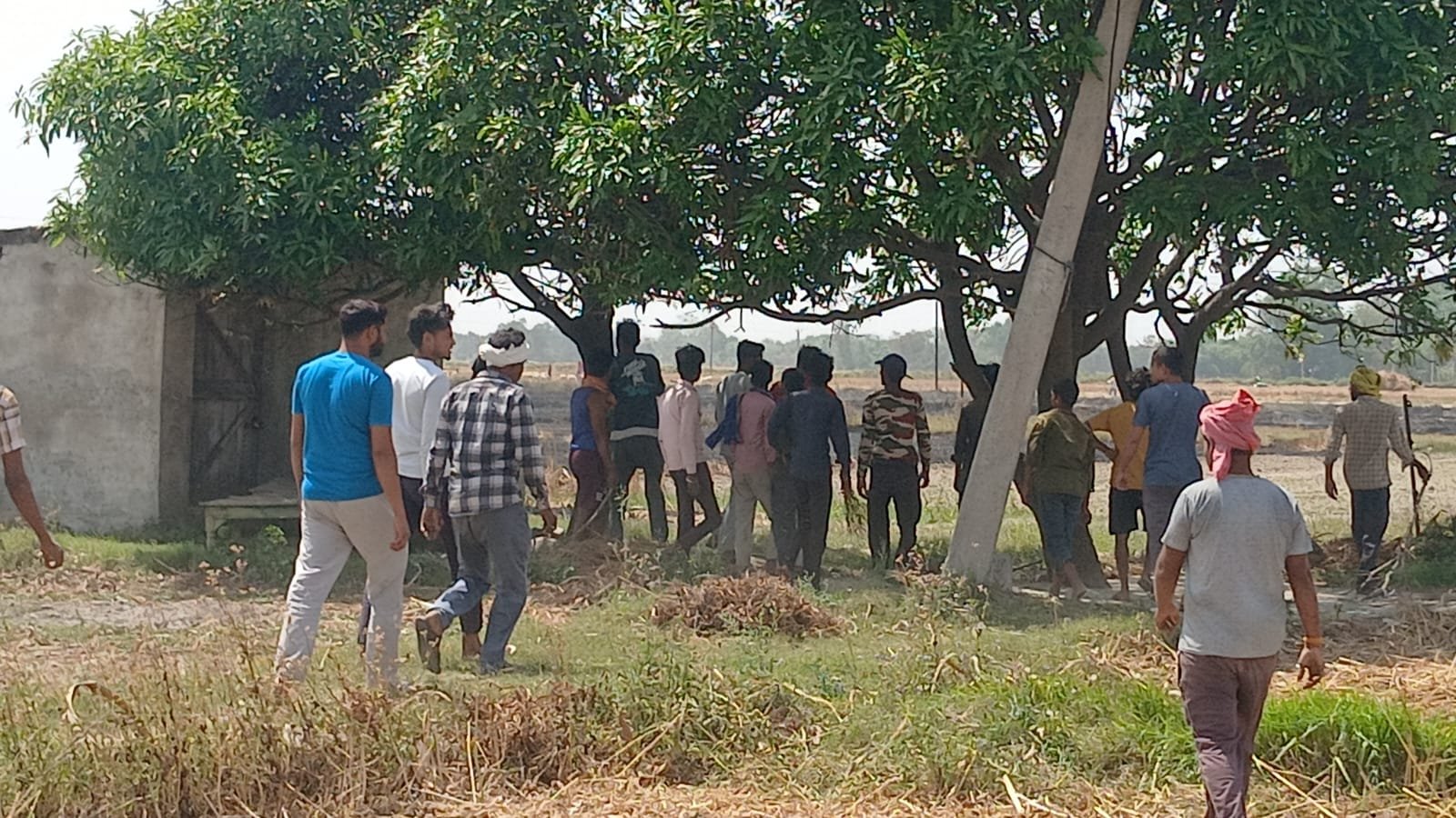 बेलाही अग्निकांड: सैकड़ों बीघा फसल जलकर राख, किसानों में आक्रोश